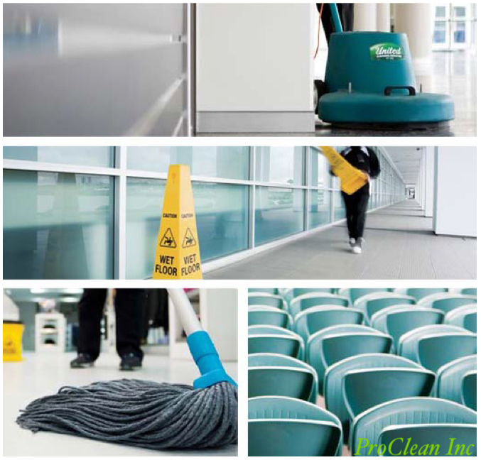 Pro Clean High Professional Cleaning Services